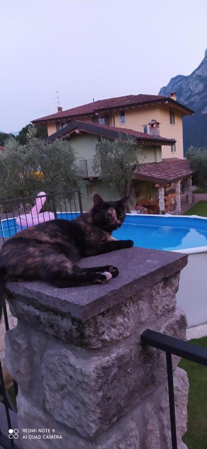 Casavarone Riva del Garda Bagian luar foto