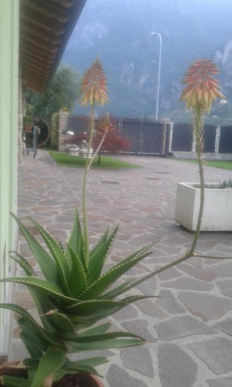 Casavarone Riva del Garda Bagian luar foto